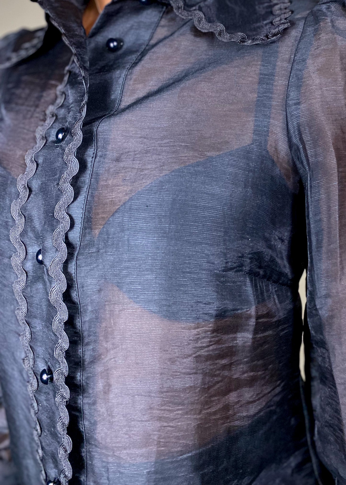 Sabrina Sheer Black Blouse