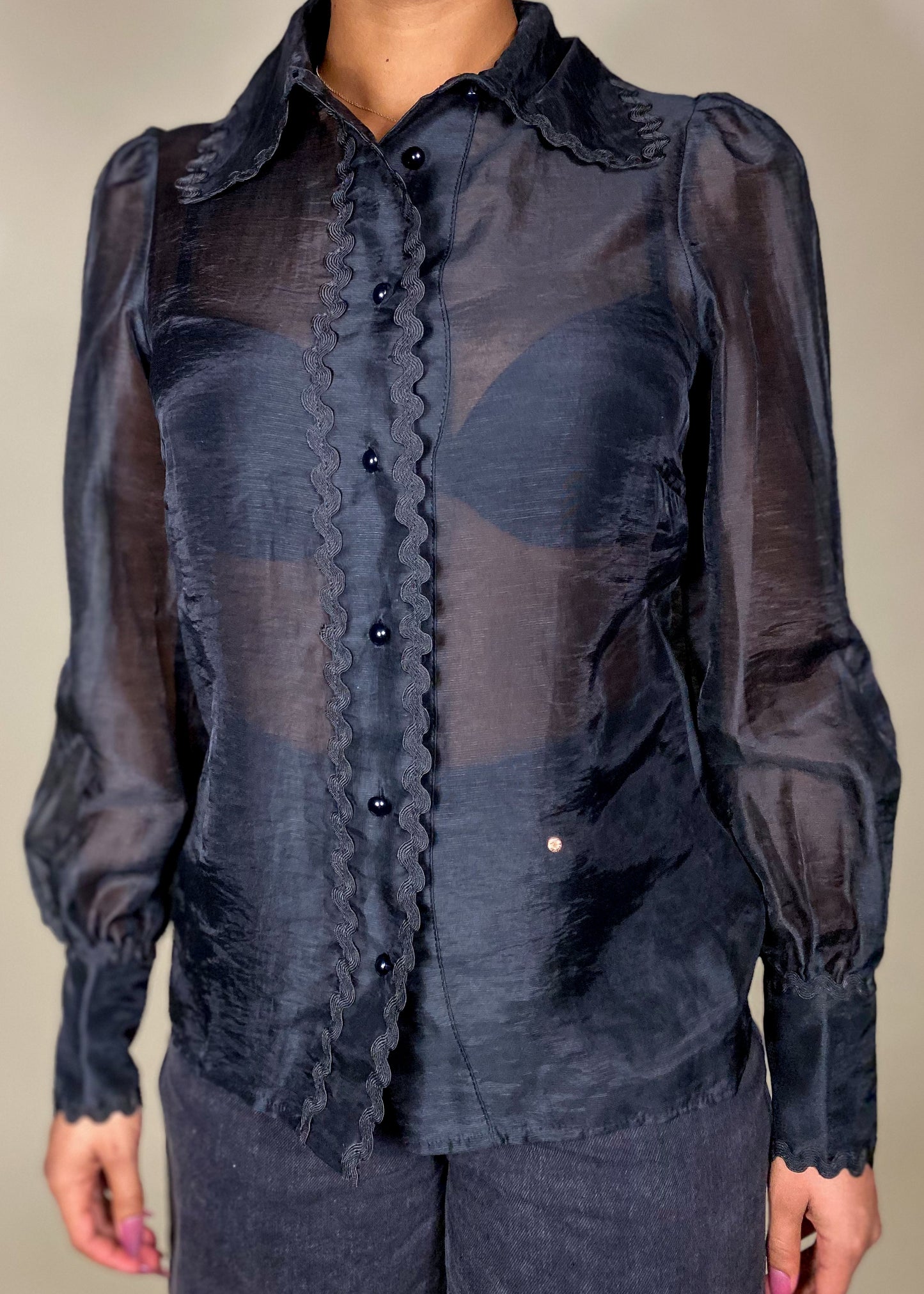 Sabrina Sheer Black Blouse