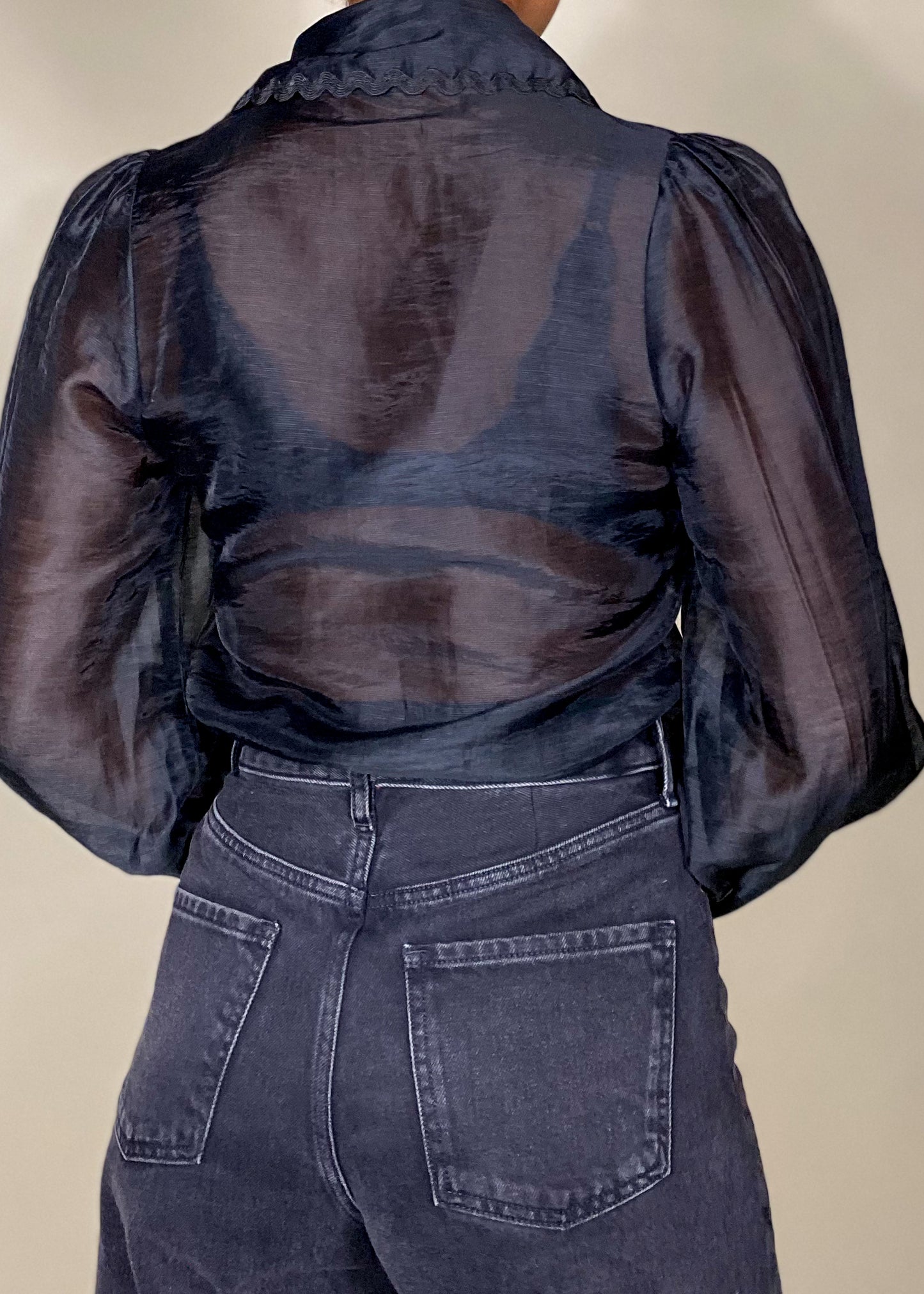Sabrina Sheer Black Blouse