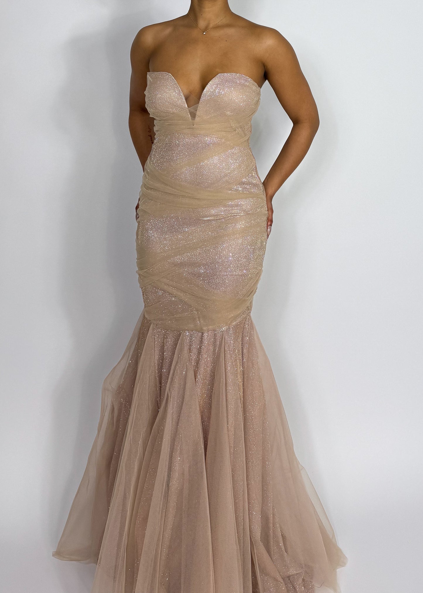 Natalia Tulle Gown