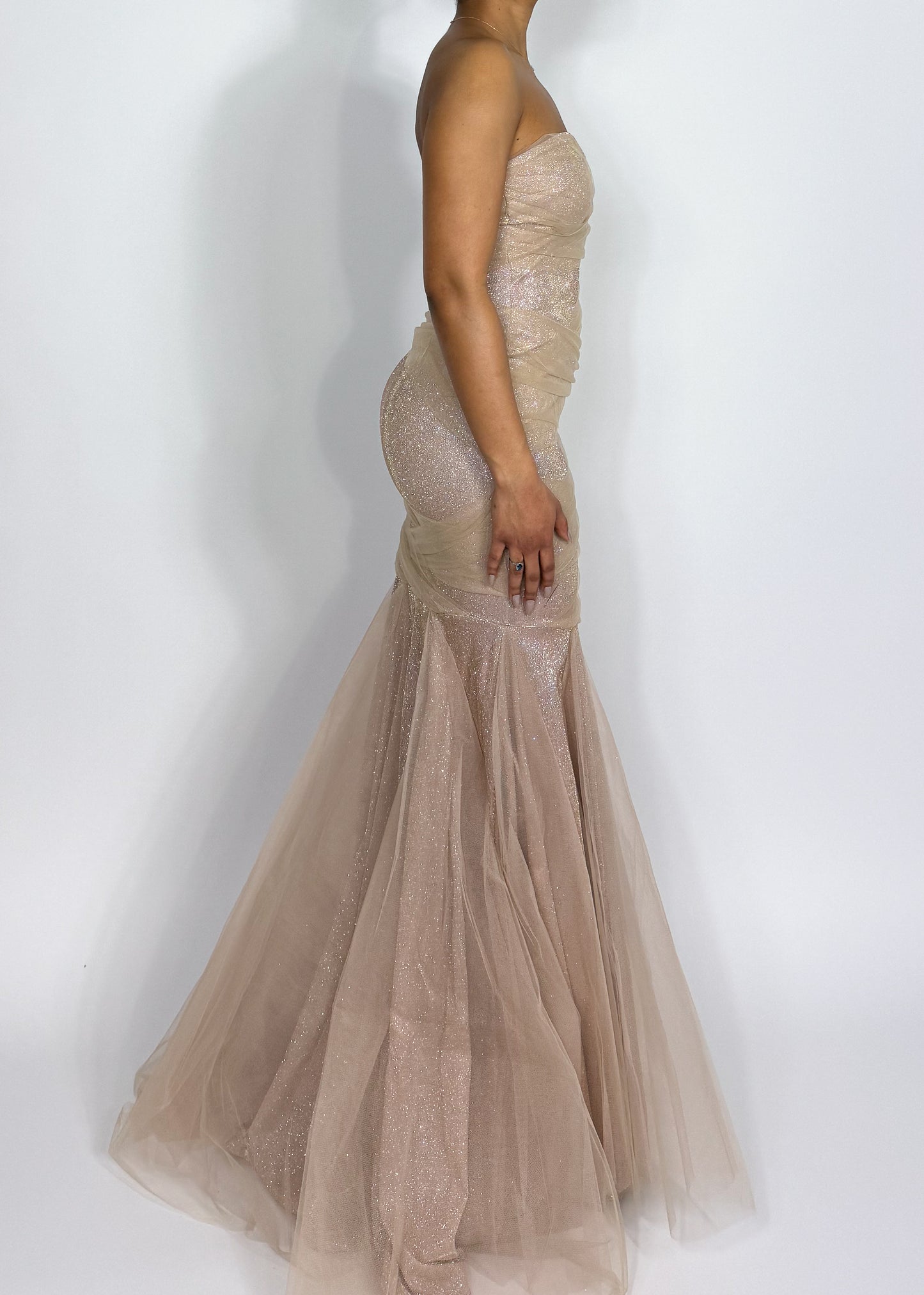 Natalia Tulle Gown