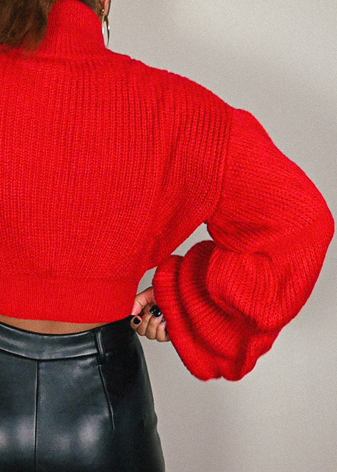 Chrissy Crop Turtleneck Sweater +