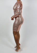 Beth Sequins Dress