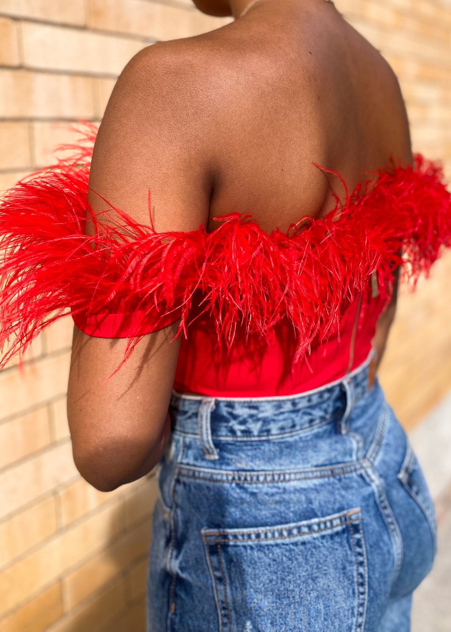 Scarlet Feather Bustier