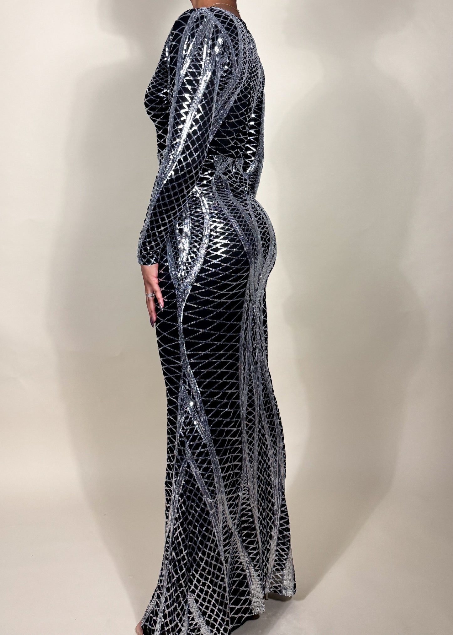 Evelyn Long Sleeve Gown