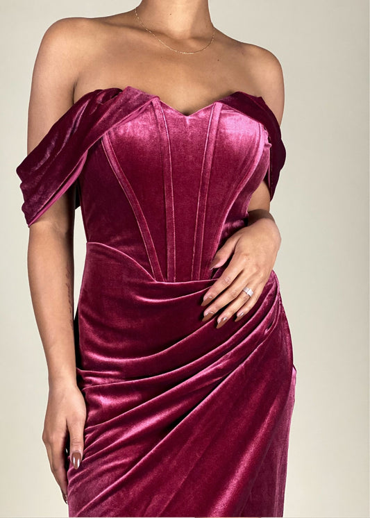 Winter Velvet Dress
