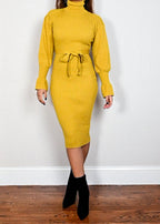 Citrus Tracy Turtleneck Dress