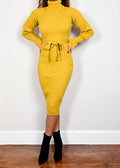 Citrus Tracy Turtleneck Dress