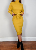 Citrus Tracy Turtleneck Dress