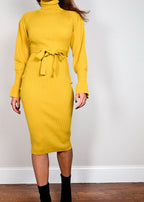 Citrus Tracy Turtleneck Dress