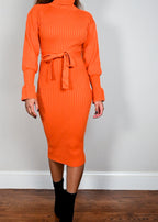 Citrus Tracy Turtleneck Dress
