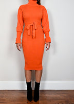Citrus Tracy Turtleneck Dress