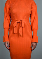 Citrus Tracy Turtleneck Dress