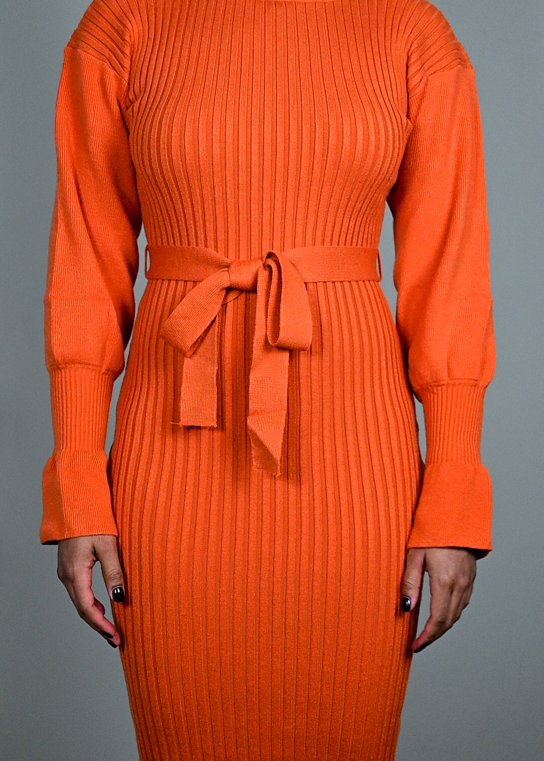 Citrus Tracy Turtleneck Dress