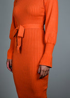 Citrus Tracy Turtleneck Dress