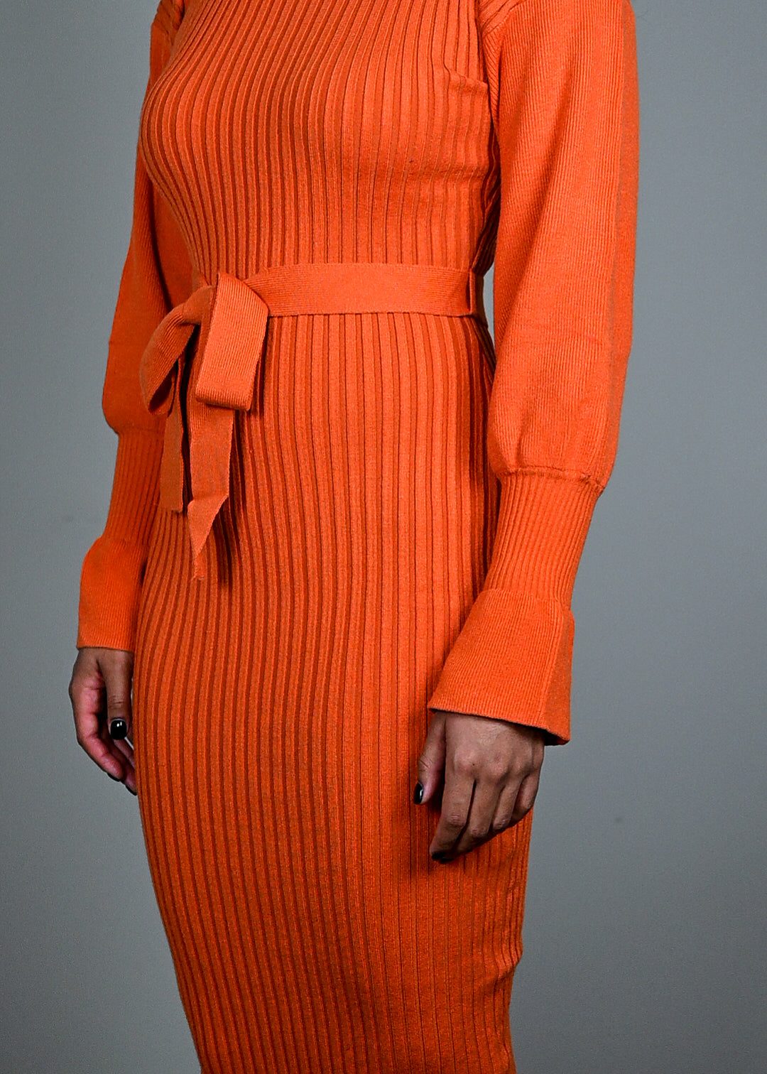 Citrus Tracy Turtleneck Dress