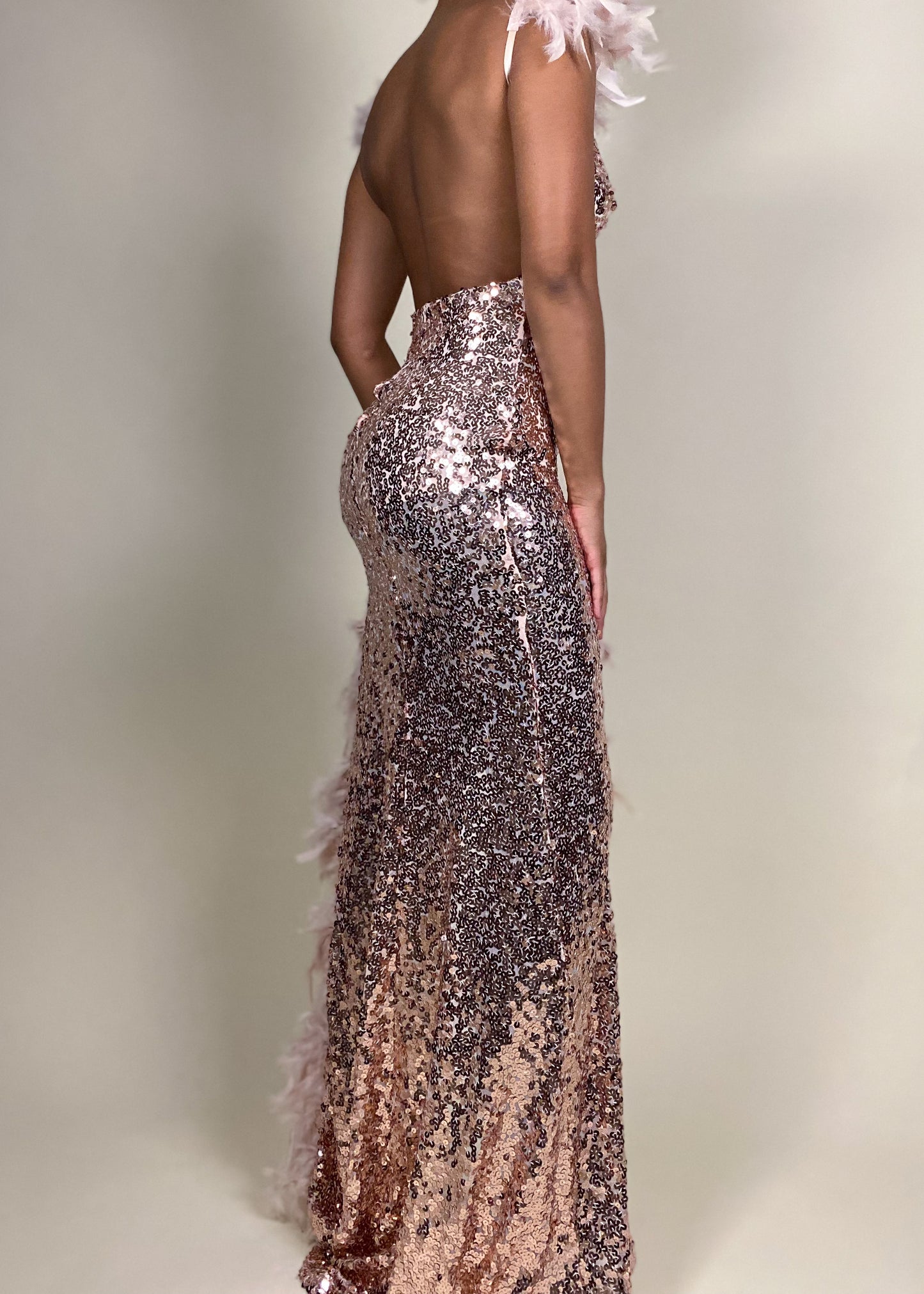 Pink Sequins Feather Gown